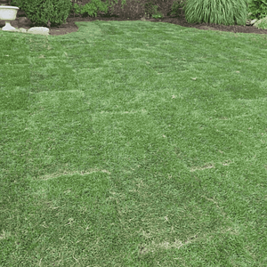 Bermuda Sod Installation in Tulsa OK