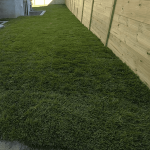fescue-sod-installation-tulsa-oklahoma